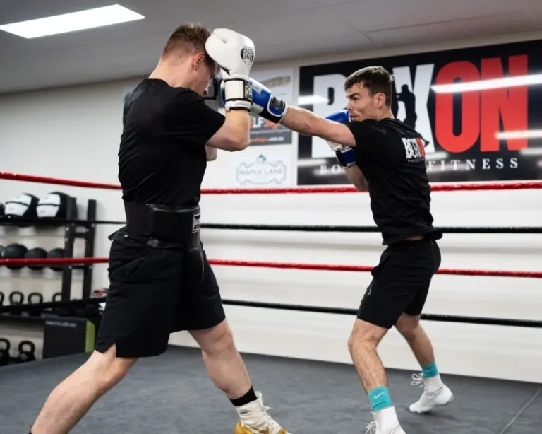 sparring 768x614